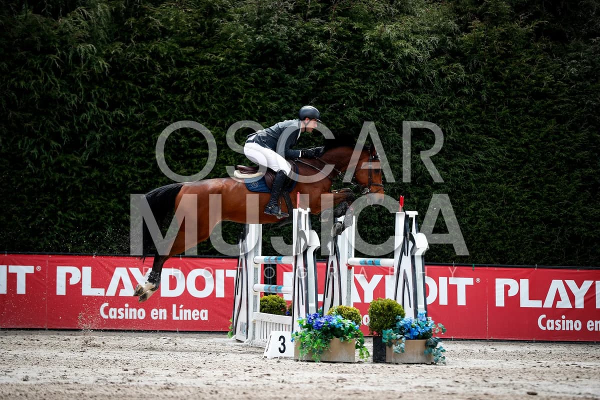 CARLOS PEREDA