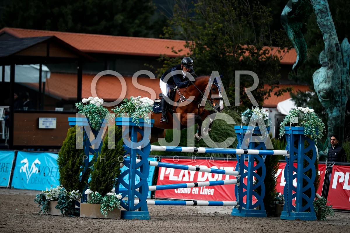 HECTOR GONZALEZ