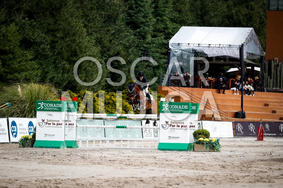 LORENZA OFARRIL
