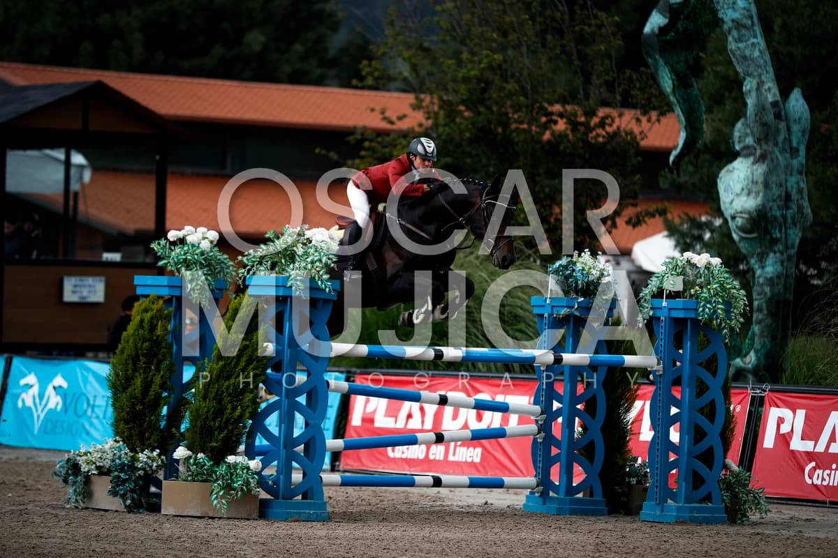 RODRIGO MENA