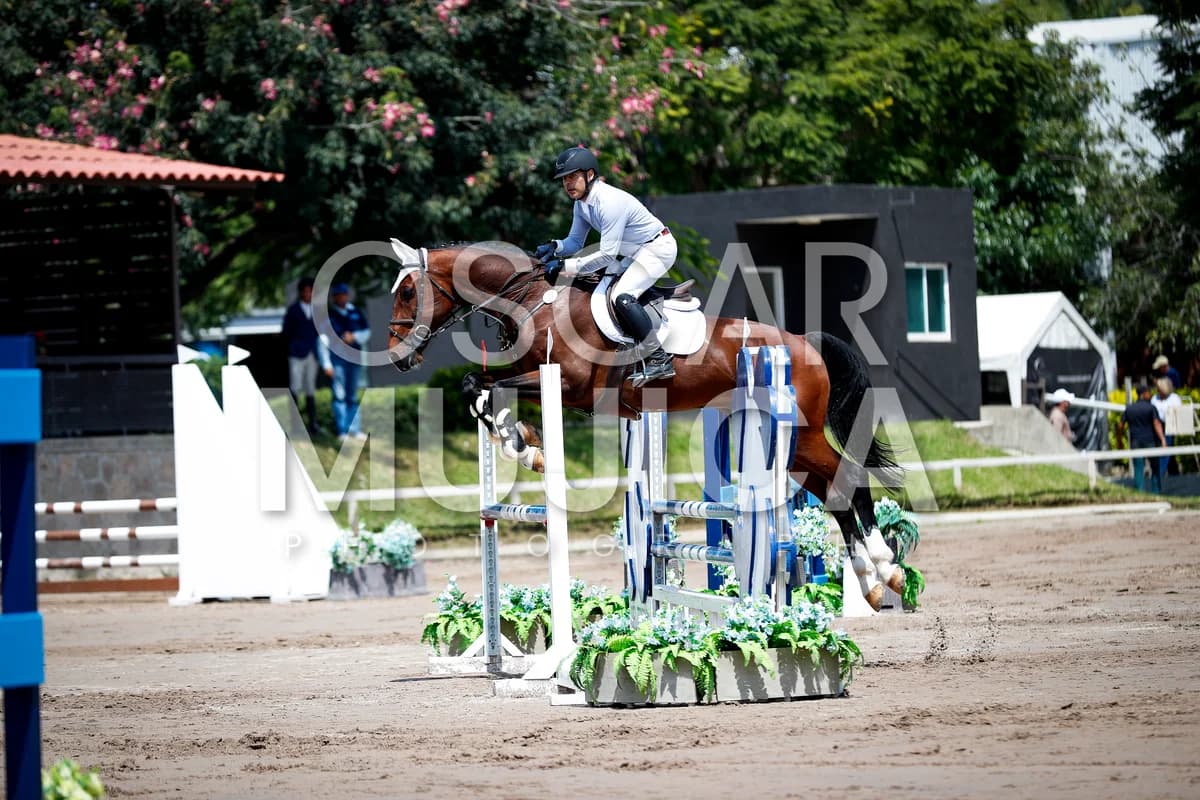 DAVID RODRIGUEZ