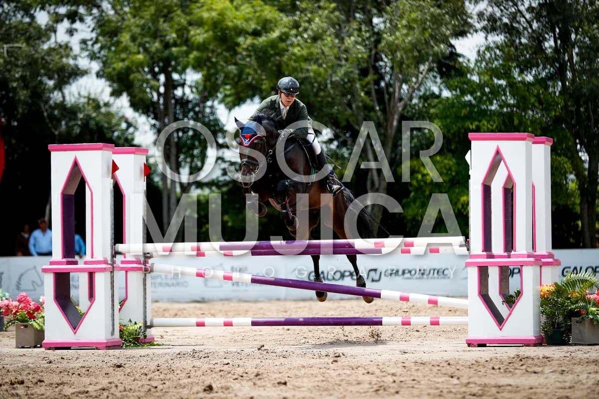DIEGO TOCA