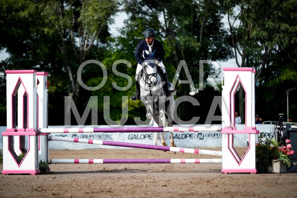 FERNANDO HUATO