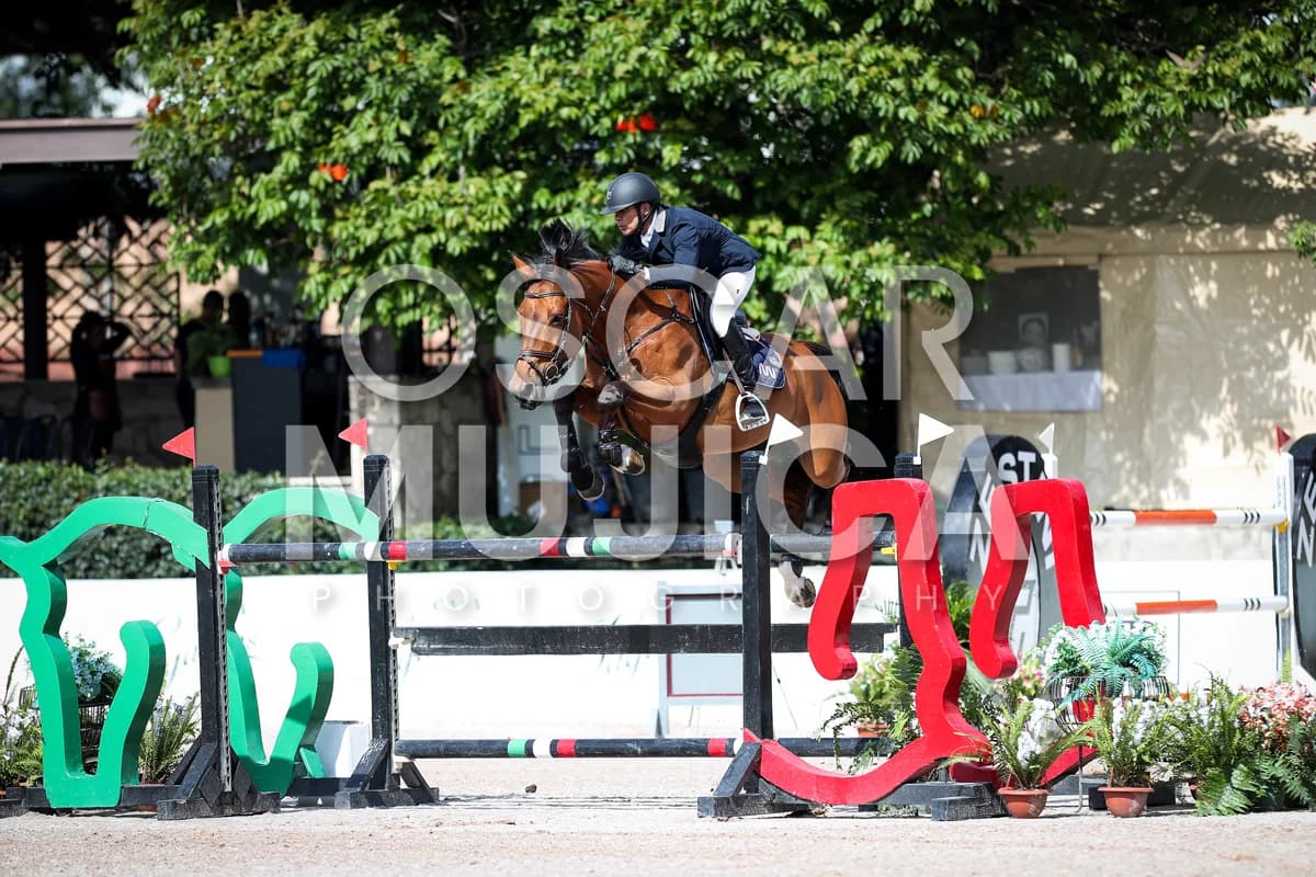 JAVIER FERNANDEZ