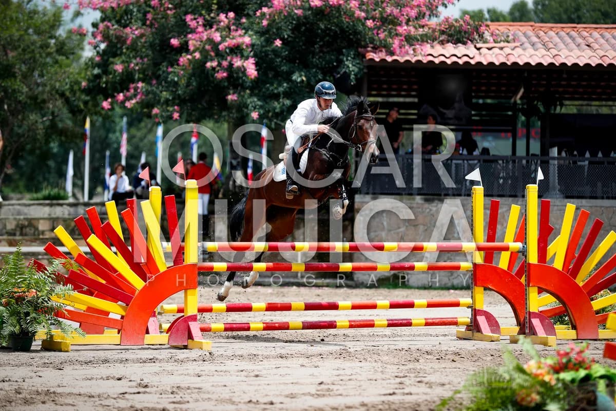 JUAN SERRA
