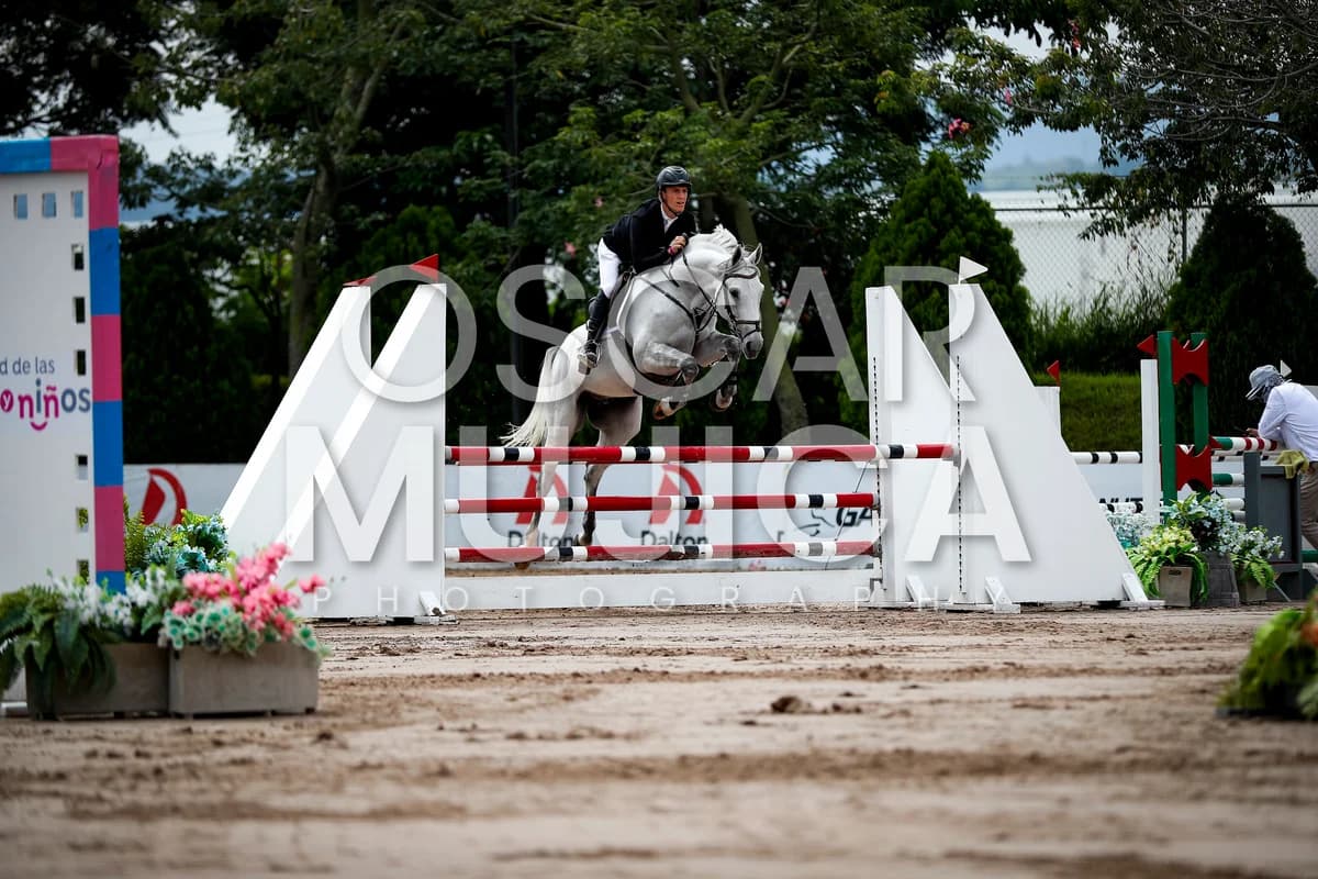 MIJAEL MORAGREGA