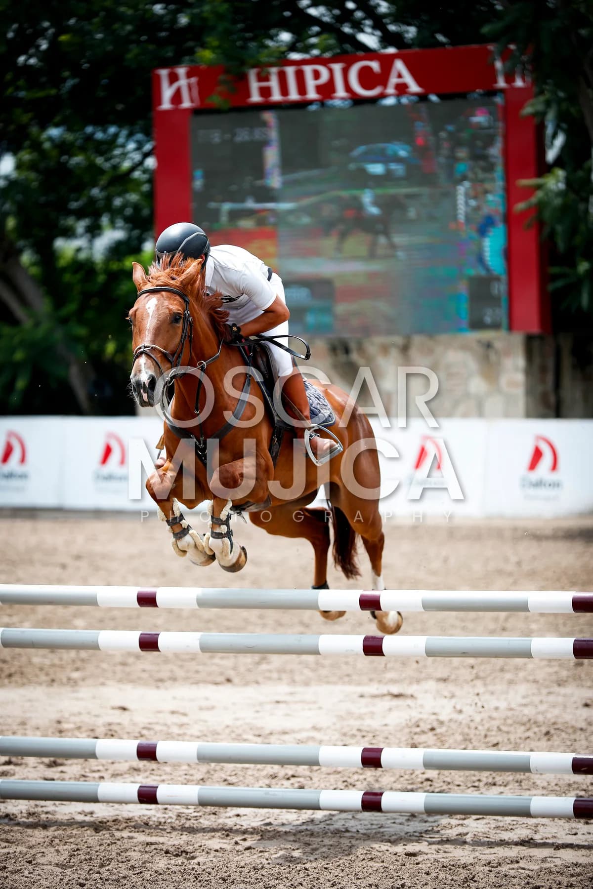 ULISES CARRILLO