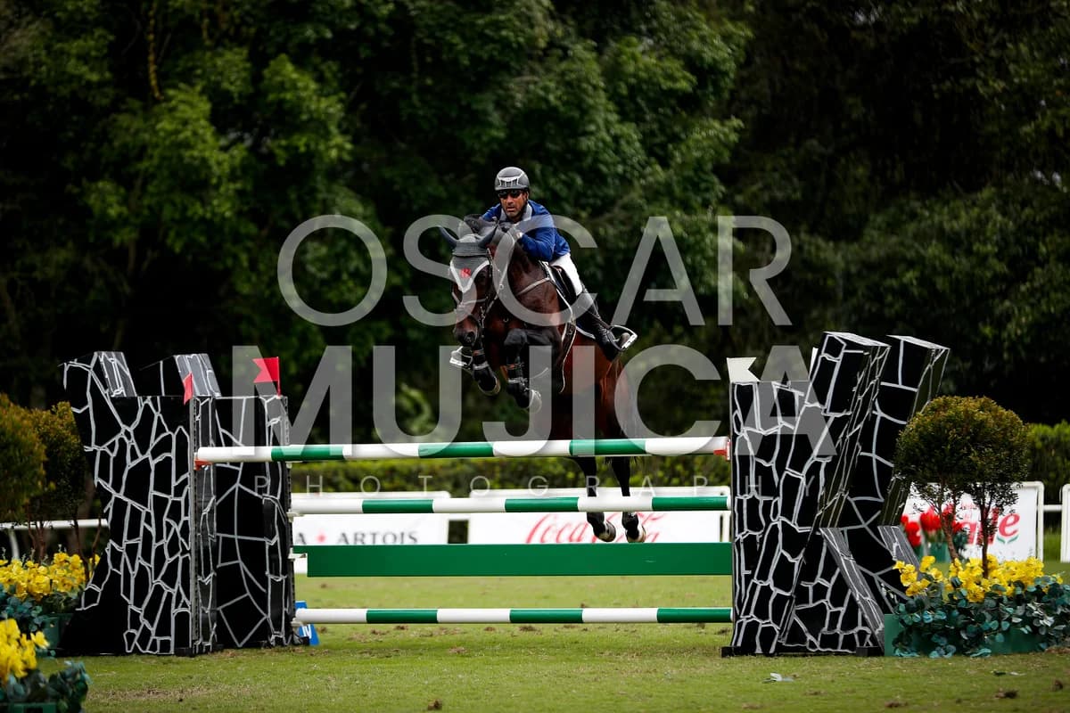 JUAN MANUEL LUZARDO