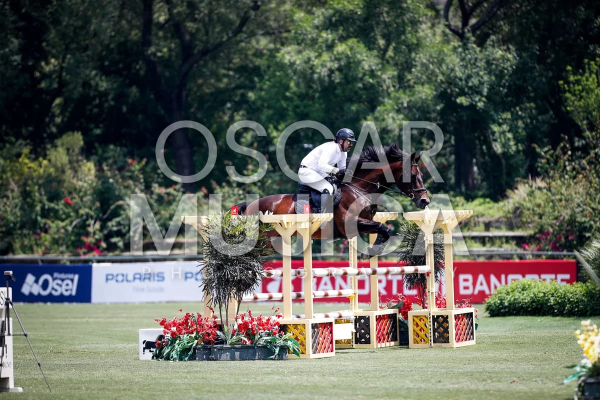 JORGE ARCE