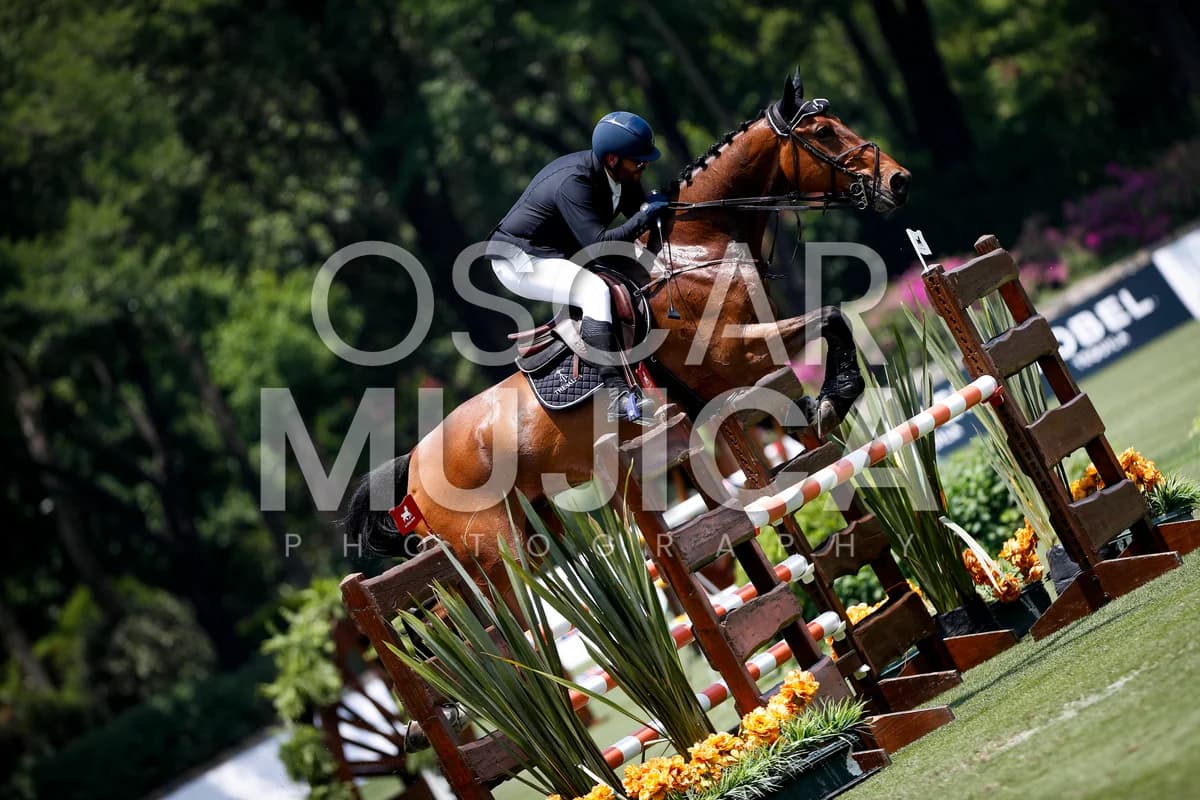 JULIO PONCE