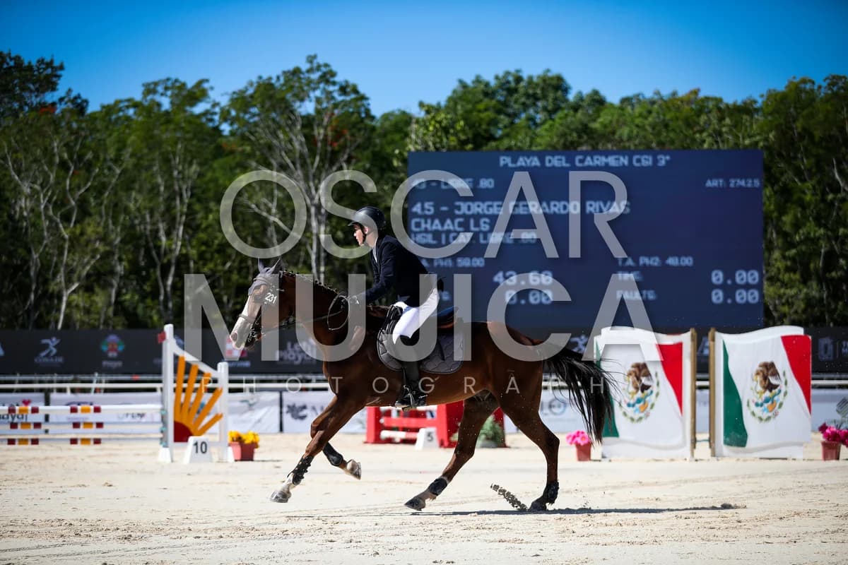JORGE RIVAS