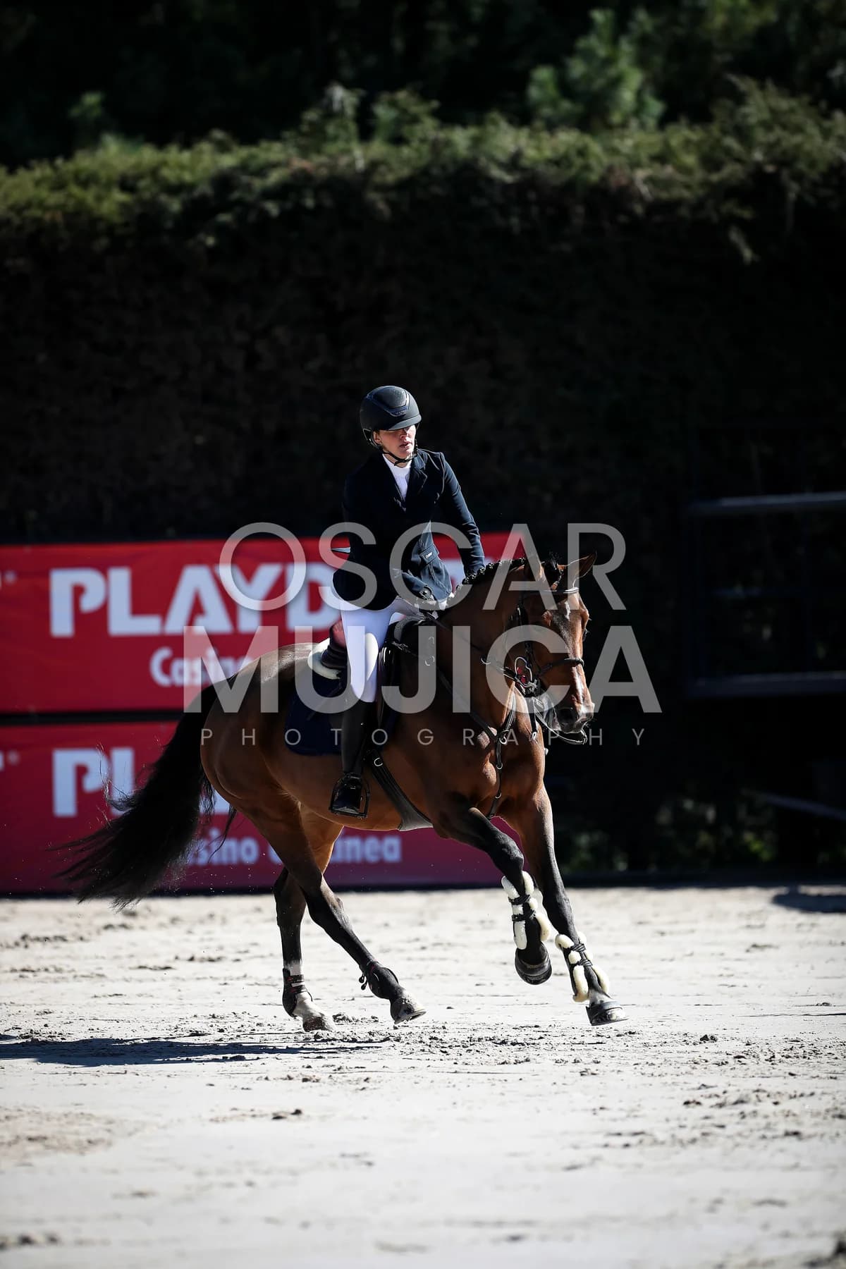 ANDREA LARRAZABAL