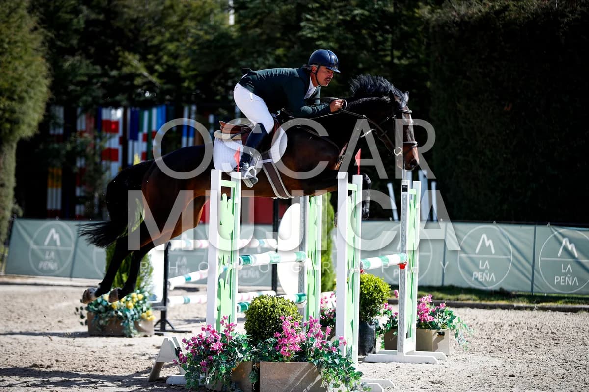 FABIAN ORDOÑEZ