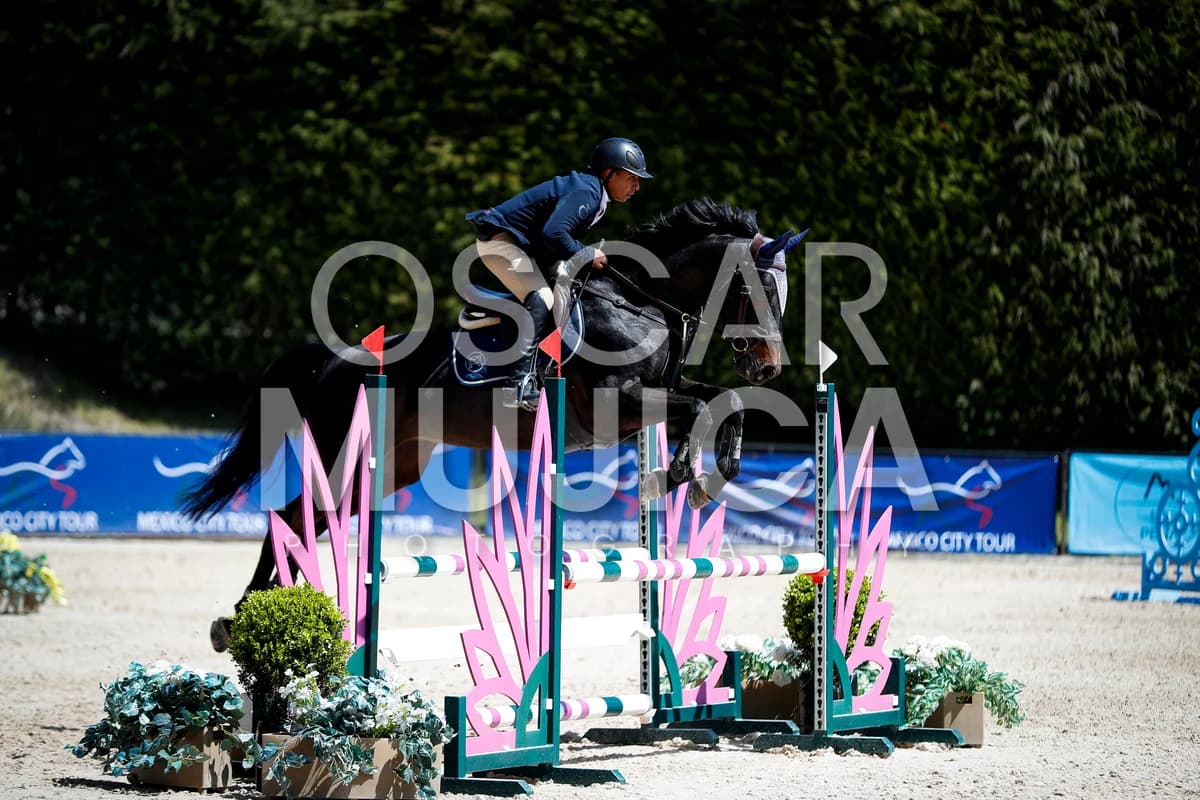 JOSE MANUEL BECERRIL