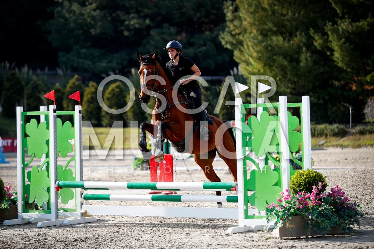 VALENTINA FALLERS