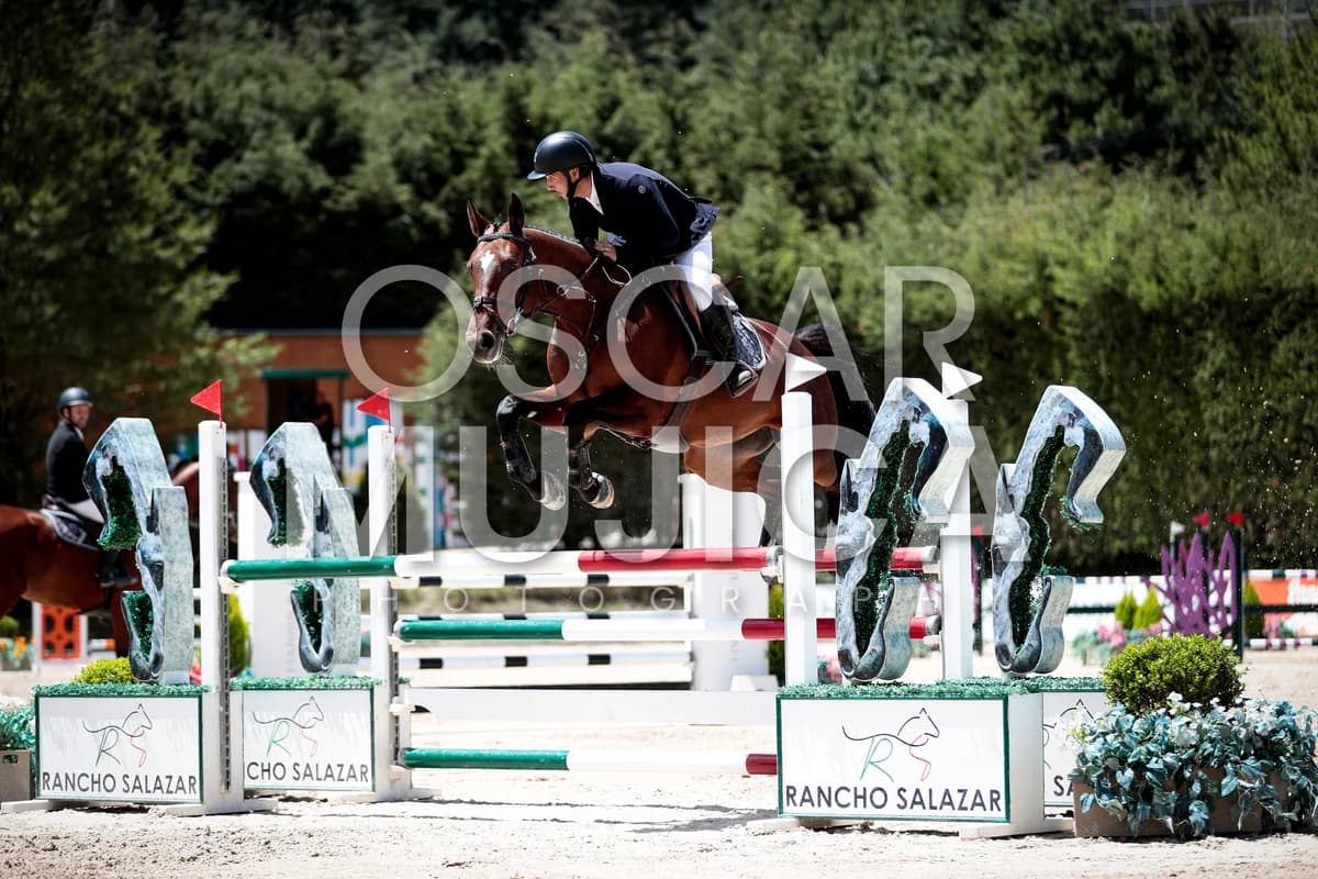 ARTURO REYES