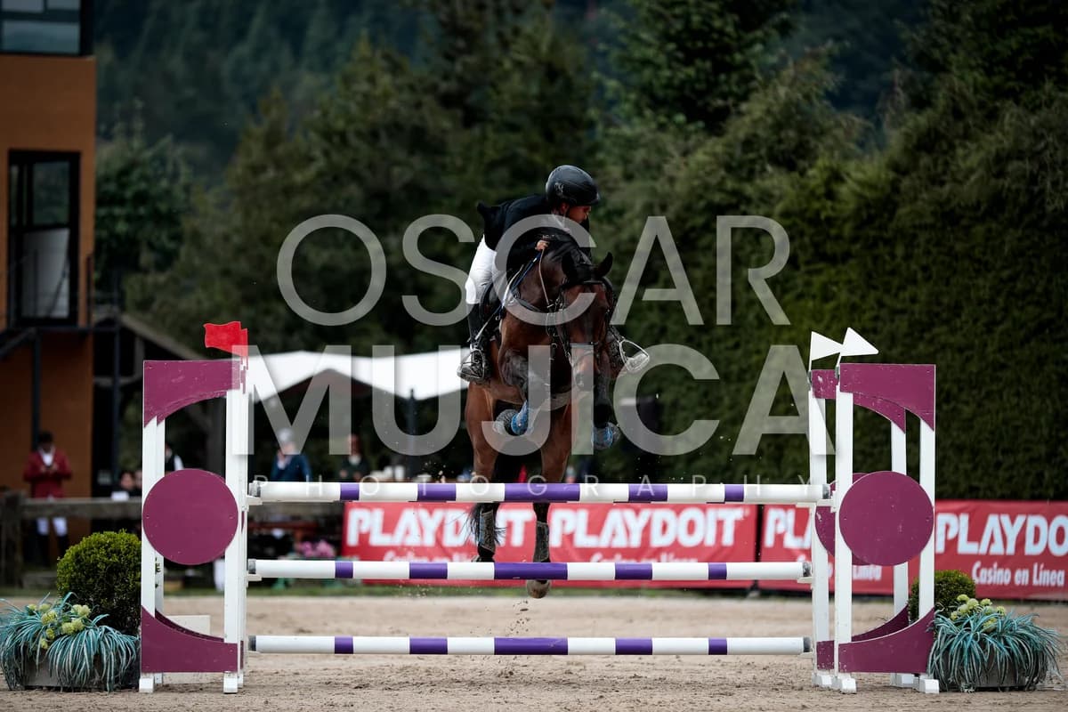 LEONARDO RENTERIA