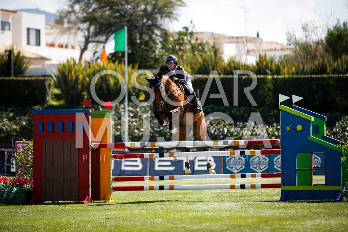 CAMILA CAVALHEIRO