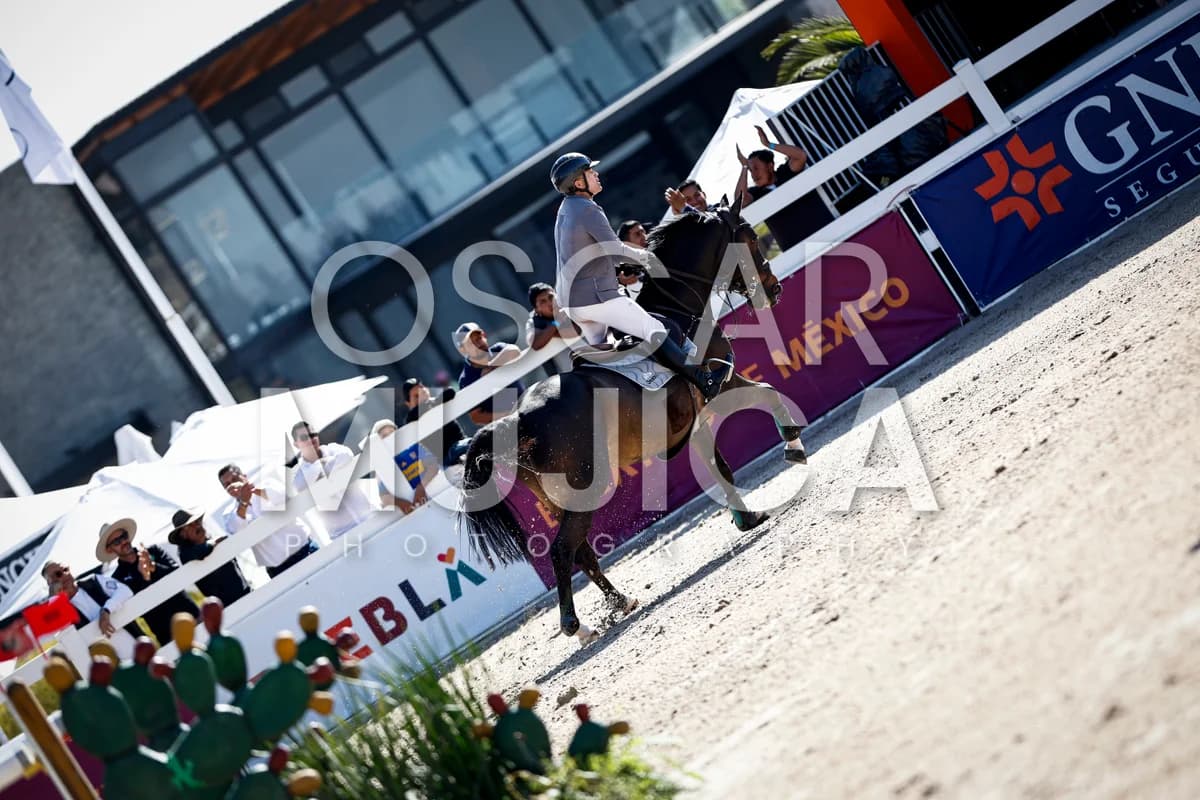 JOSE ANTONIO CHEDRAUI