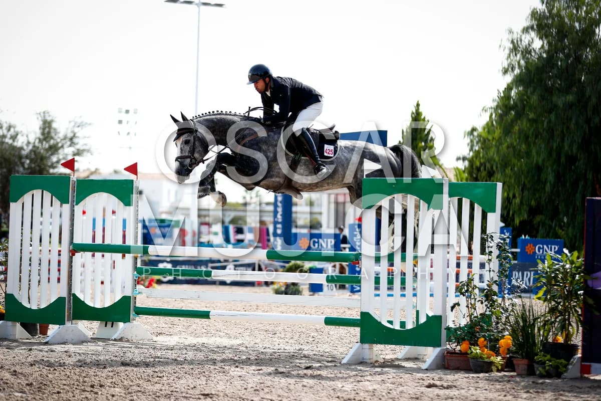 ALEX FREITAG