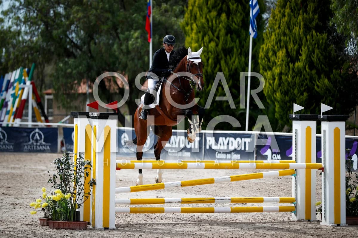 DAVID RODRIGUEZ