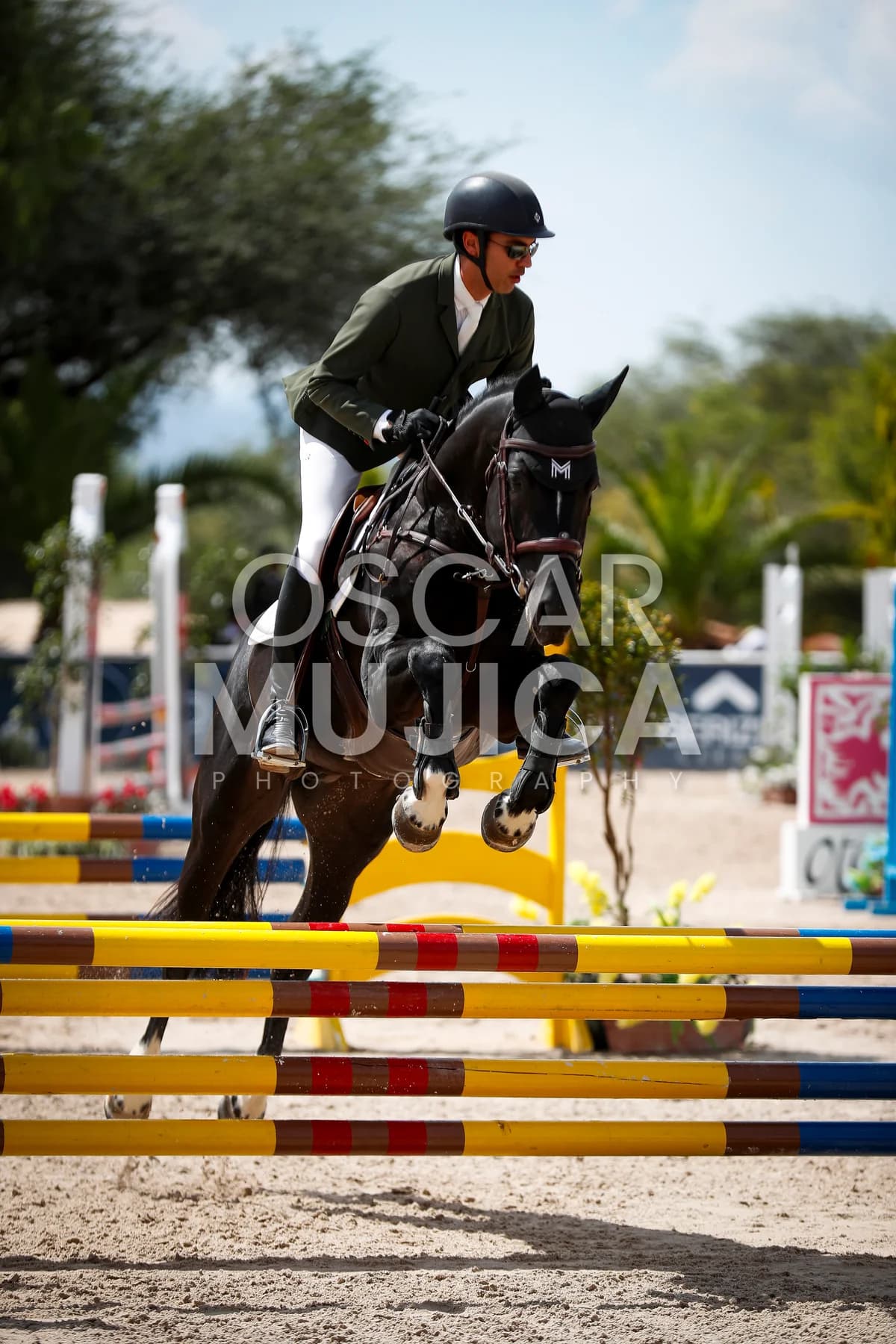 DIEGO POTES