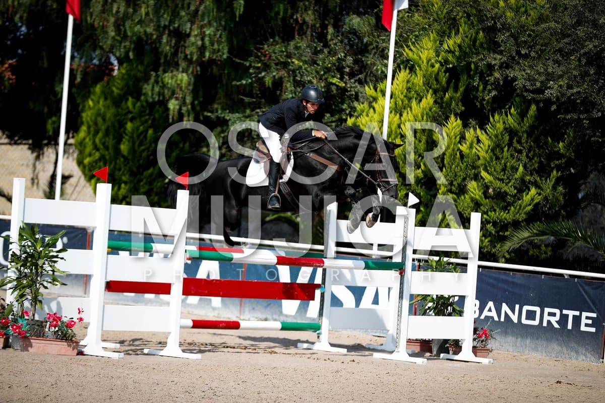 YOSDIEL GONZALEZ