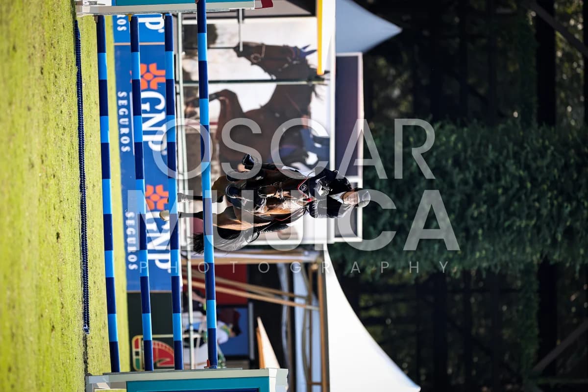 CRISTOBAL COLLADO