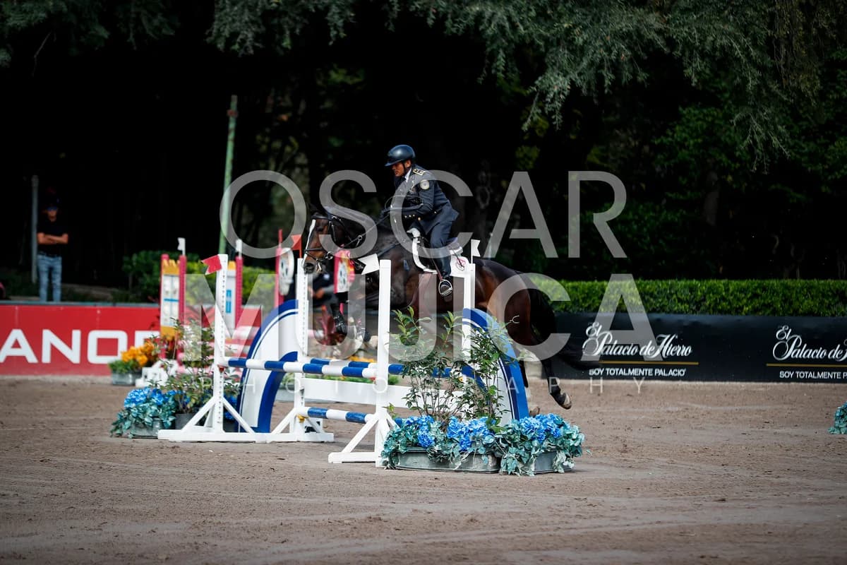 JARIT RUIZ