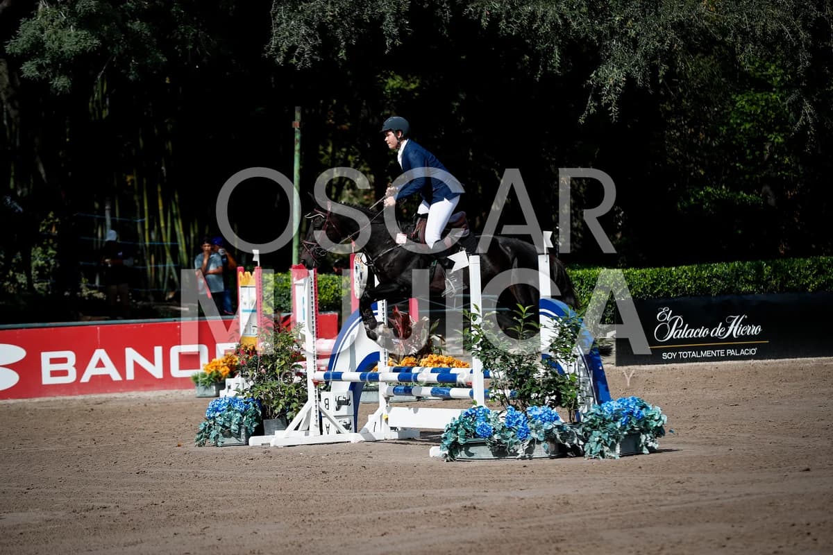 NICOLAS CARDONA