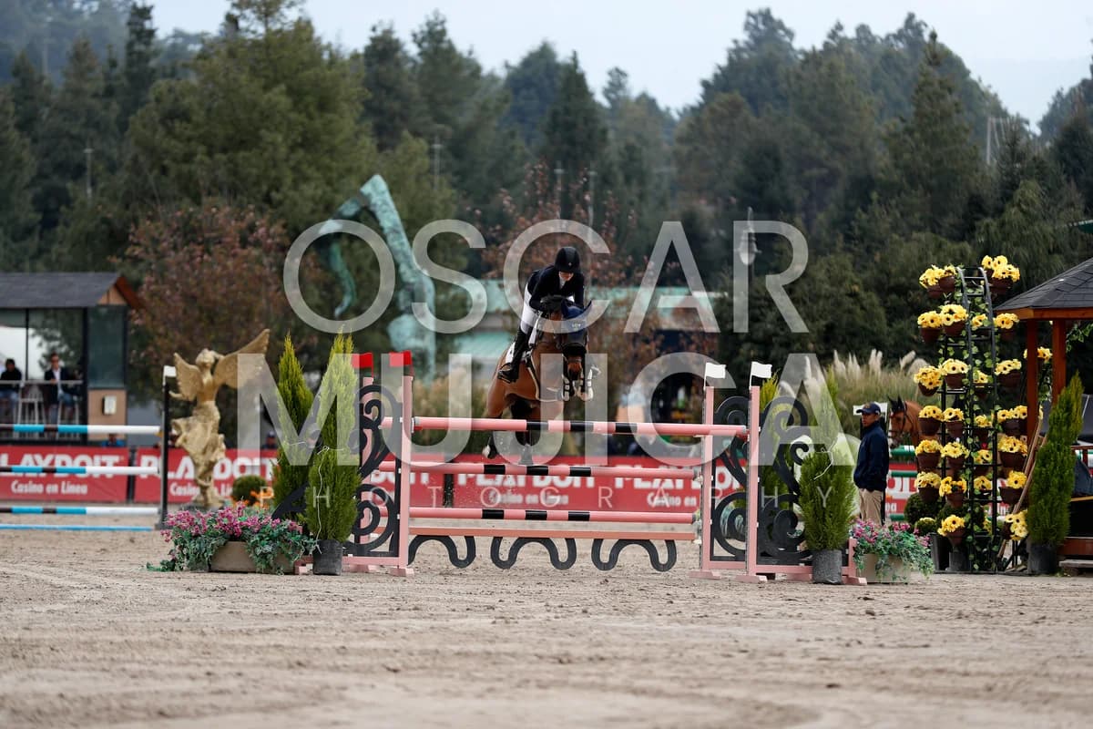 LORENZA OFARRIL