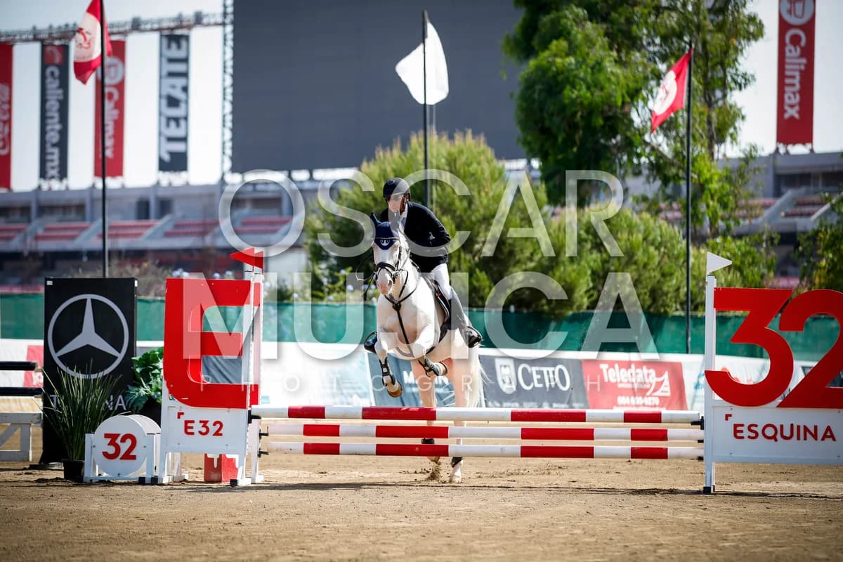OMAR GOMEZ
