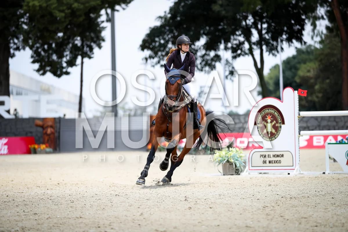 AINHOA MANERO