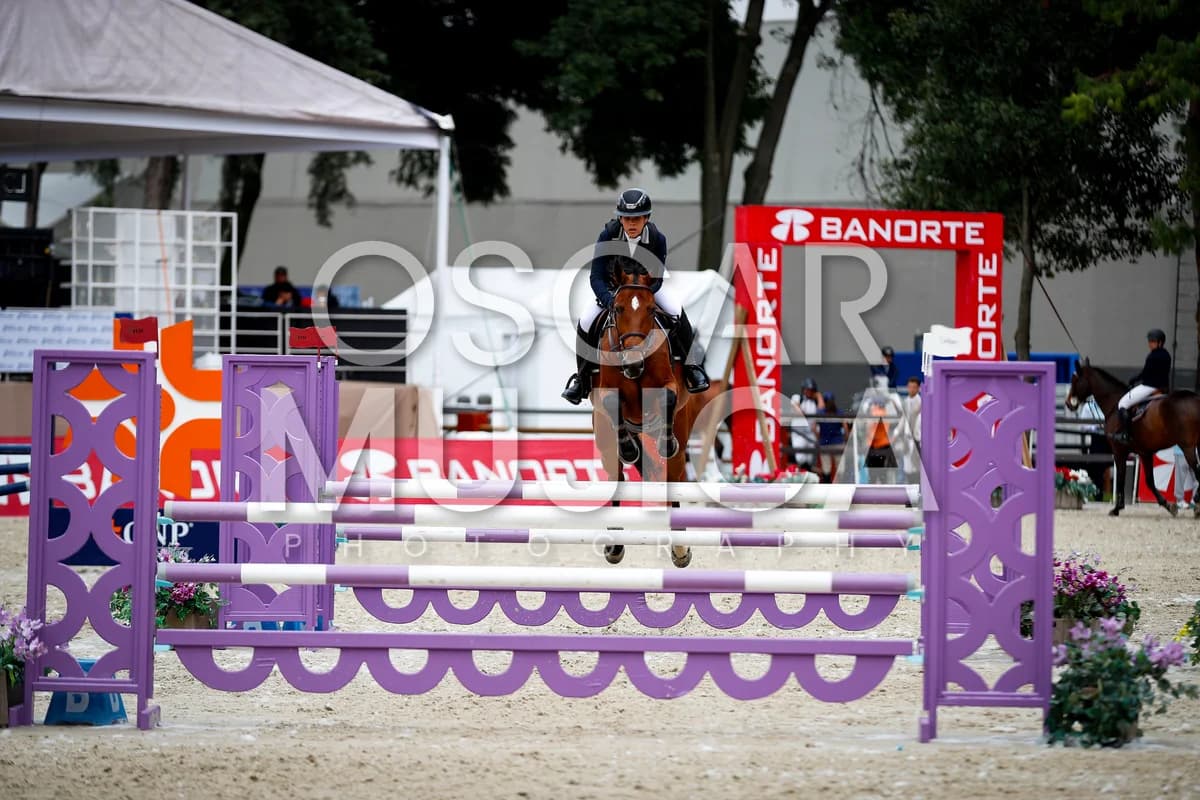 FERNANDA MATEOSPAYRO