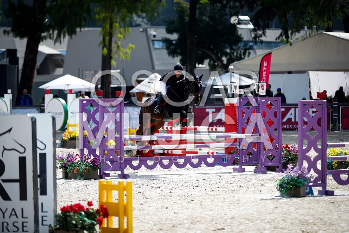 FERNANDO DIAZ