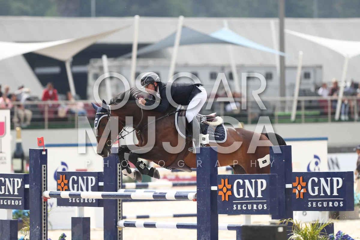 JUAN LUIS MORELL