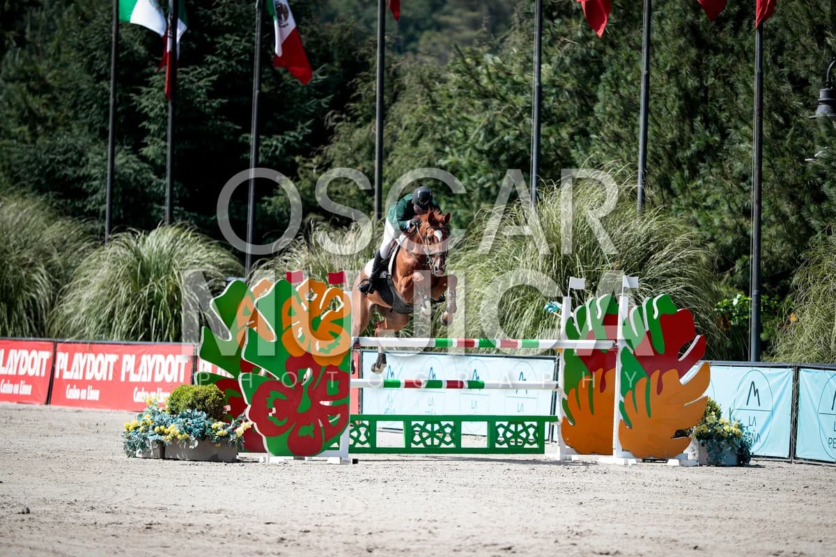 JORGE MENA
