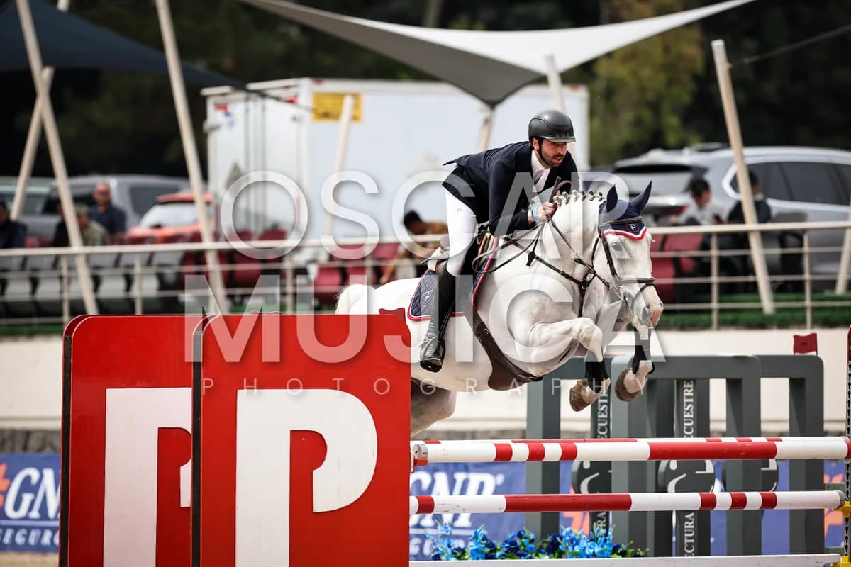 ANDRES BERGANZA