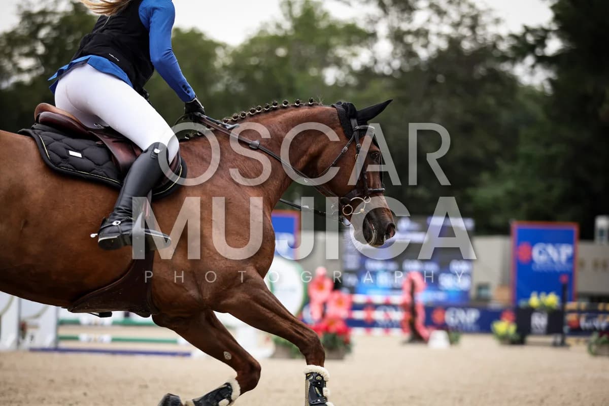 VIRGINIE DUBRAY