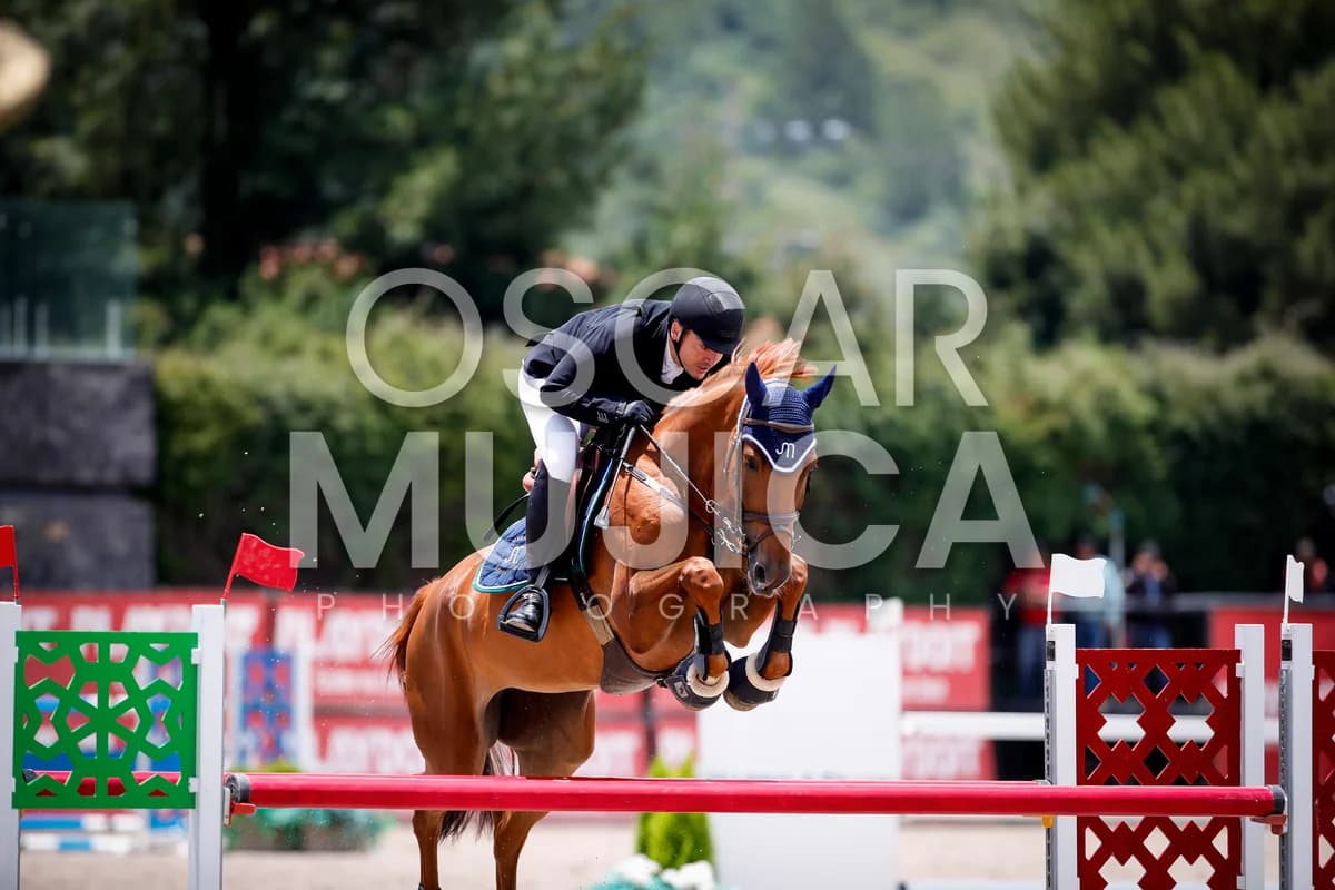 ALEJANDRO GUTIERREZ