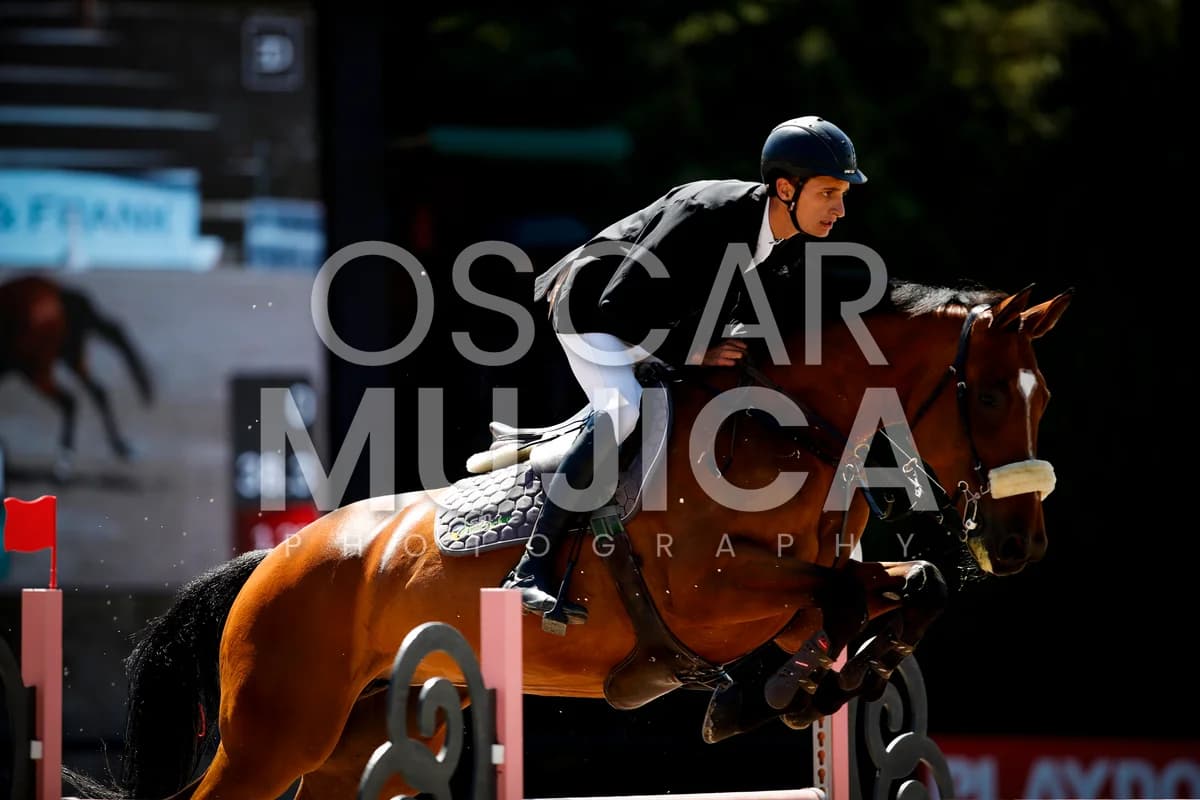 ALEJANDRO PALERO