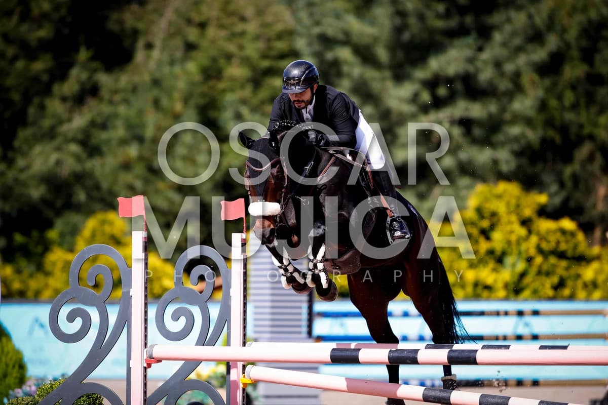 FERNANDO OCHOA