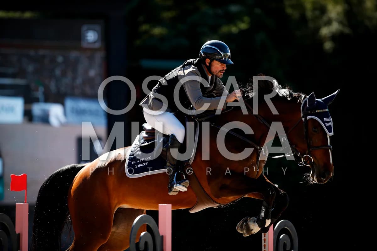 JUAN LUIS MORELL