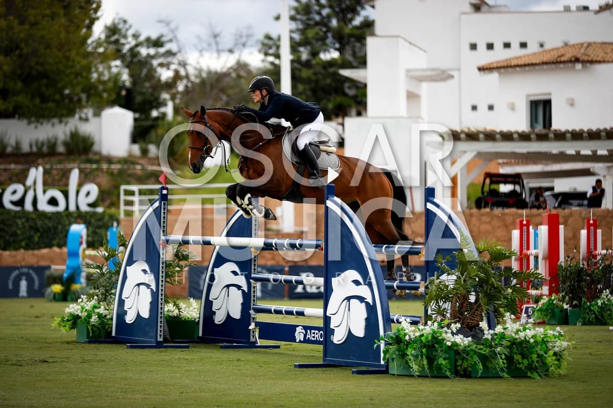 ANDREA LARRAZABAL