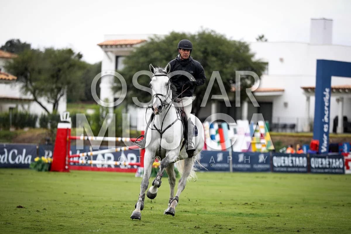 JAVIER FERNANDEZ