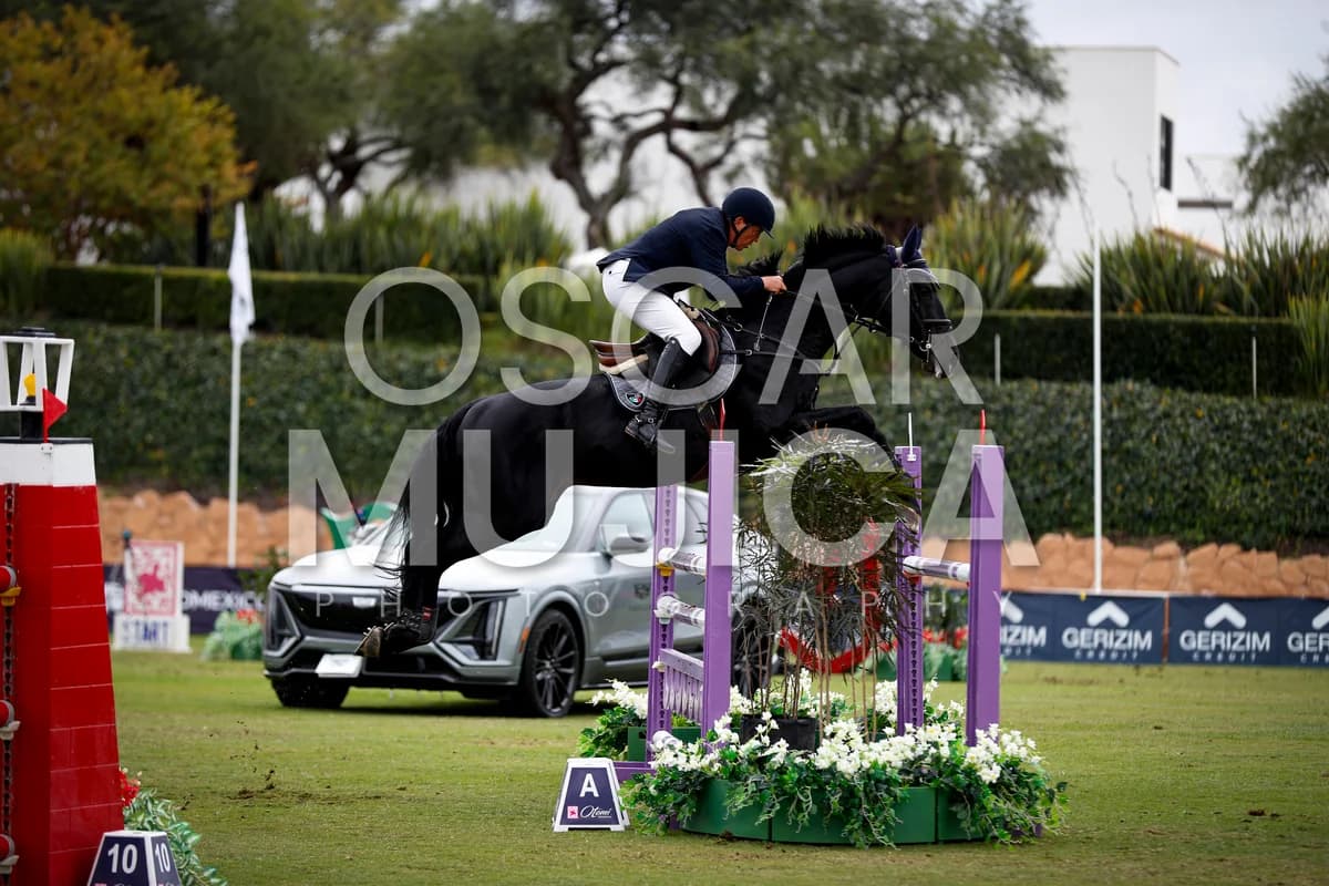 MANUEL RODRIGUEZ