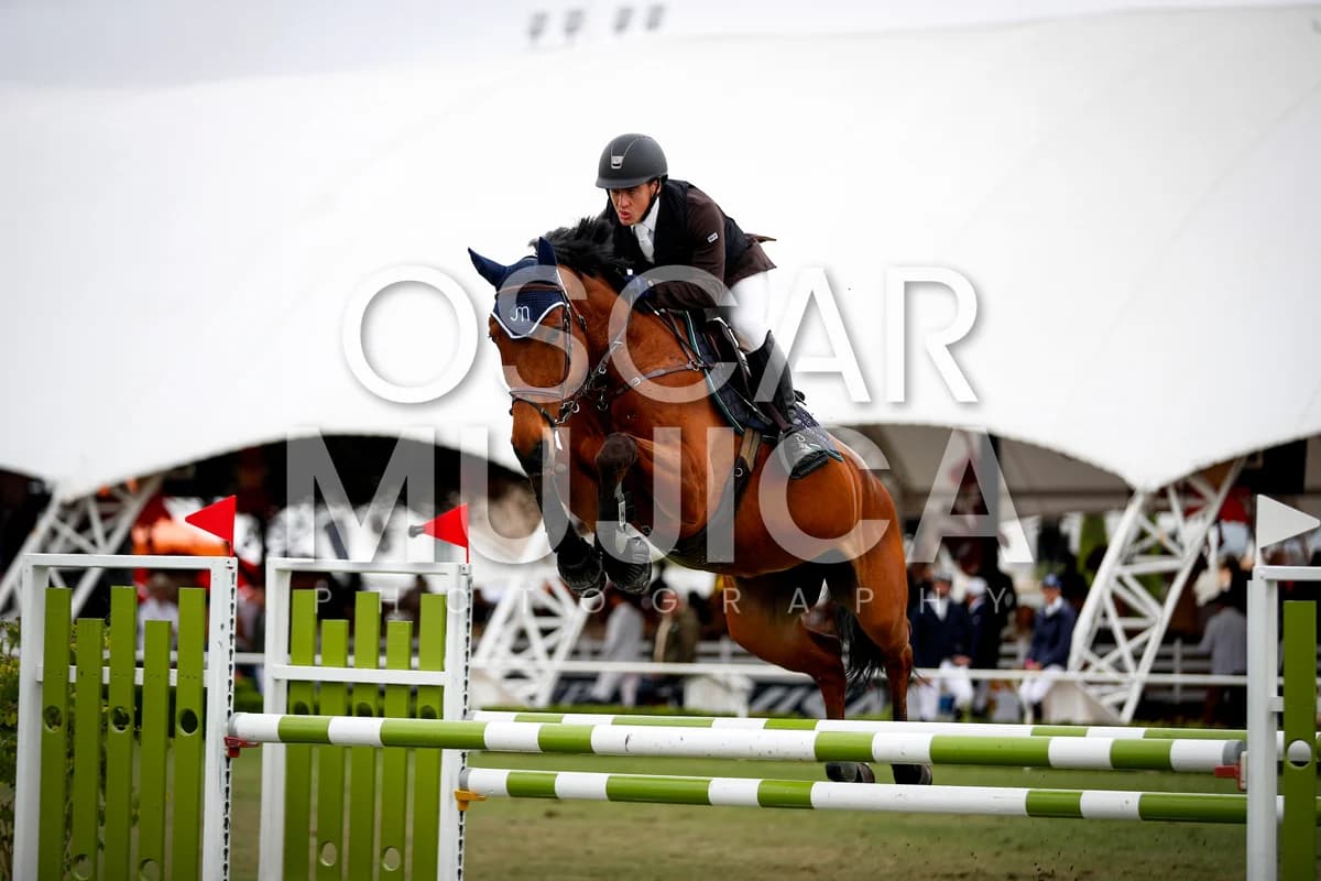 PABLO GUTIERREZ