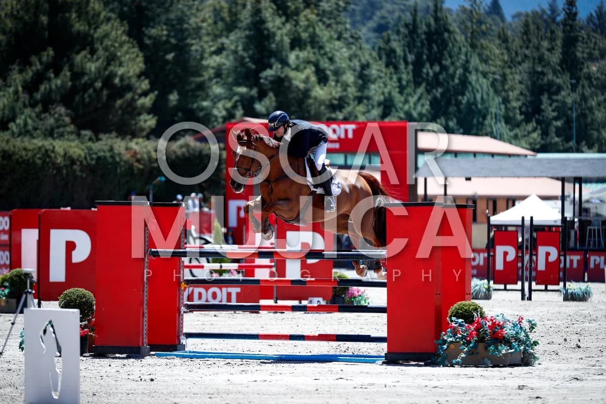 JOSE MADARIAGA