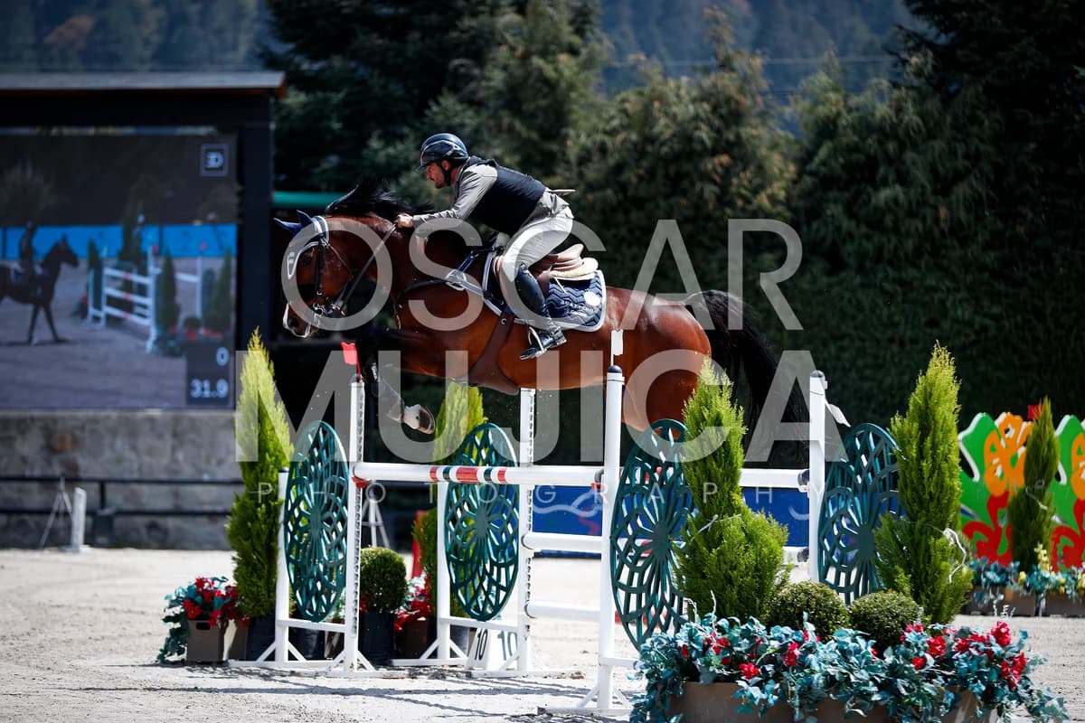 JUAN LUIS MORELL