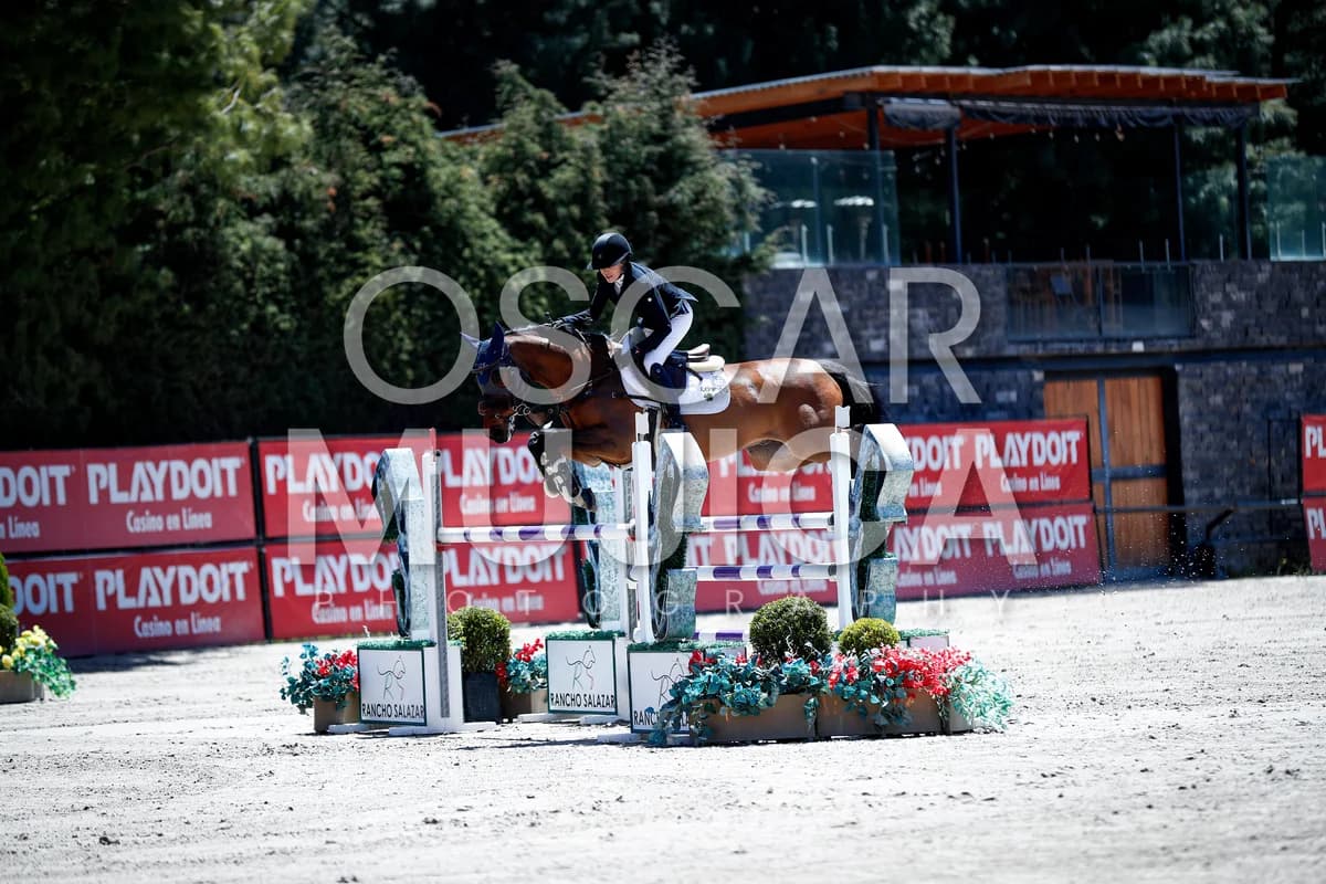 LORENZA OFARRIL
